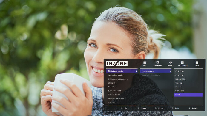 Sony INZONE M10S OSD Picture