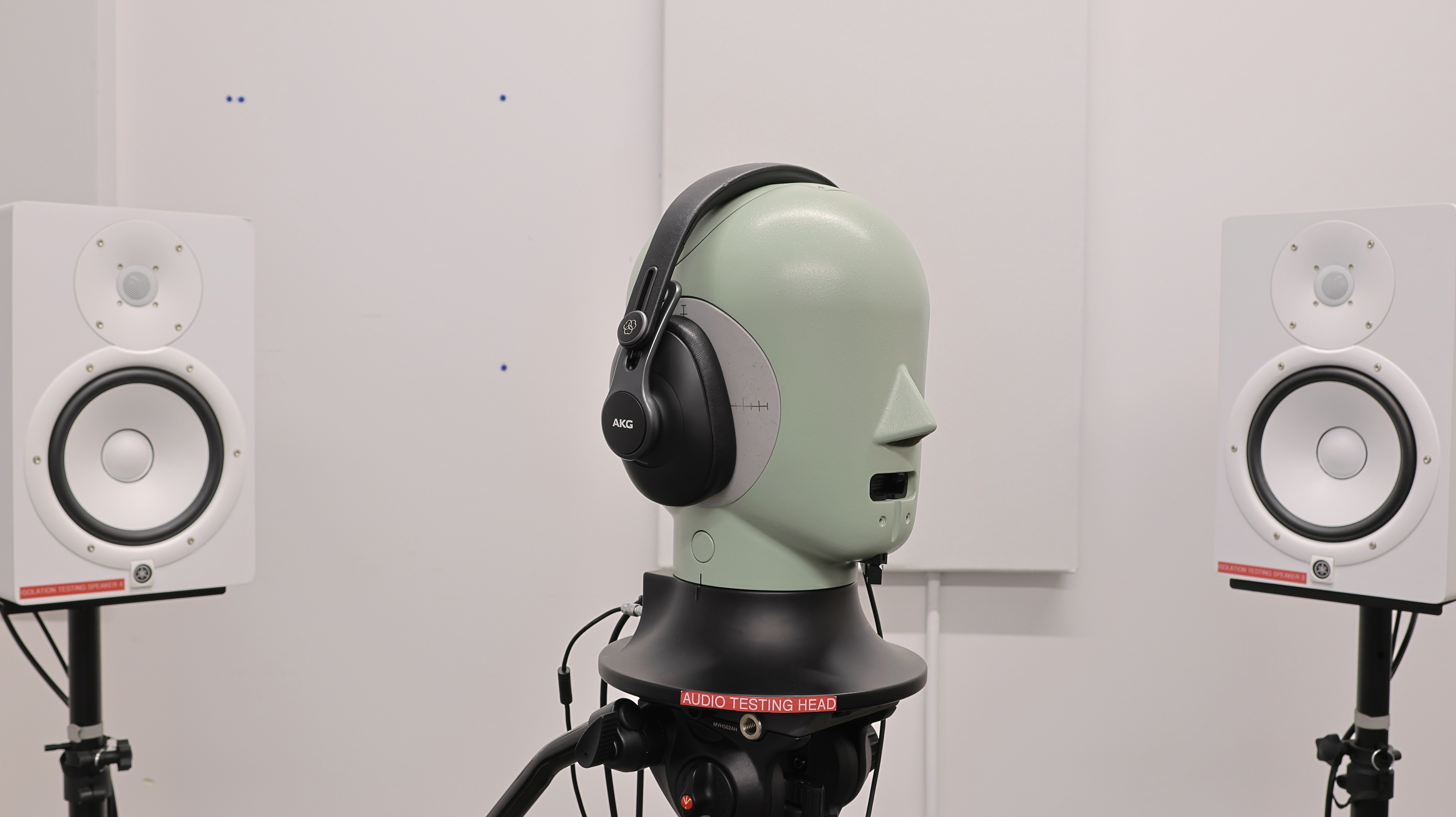 perceptual testing image