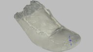 Altra Torin 9 Forefoot Height Photo