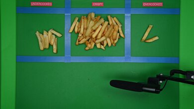 Typhur Sync Air Fryer Sorted Fries