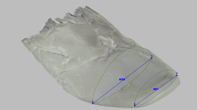 ASICS GLIDERIDE MAX 2 Forefoot Width Photo