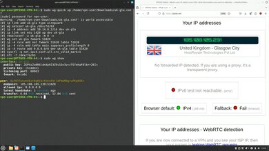 Surfshark VPN Headless WireGuard Connection Screenshot