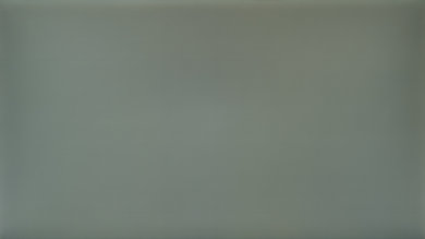 Dell P2217H Image Retention Picture