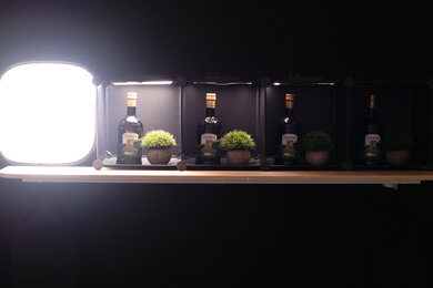 Fujifilm X-T5 Dynamic Range Scene