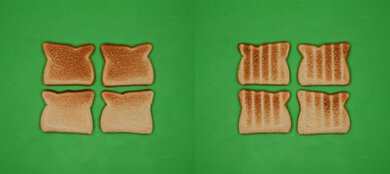 Gourmia Digital Air Fryer GTF7900 Unprocessed Toast Picture