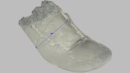 Altra Torin 9 Arch Fit Photo
