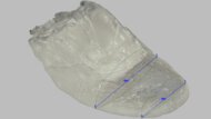 Brooks Anthem 7 Forefoot Width Photo
