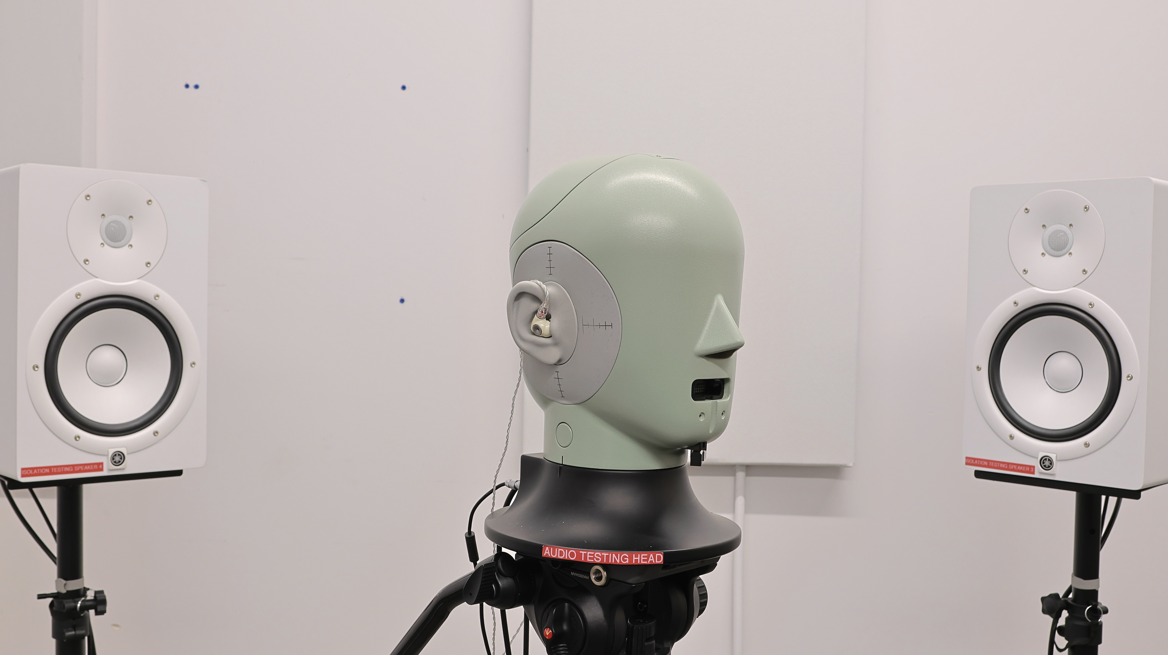 perceptual testing image