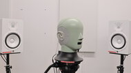 In-Test Picture