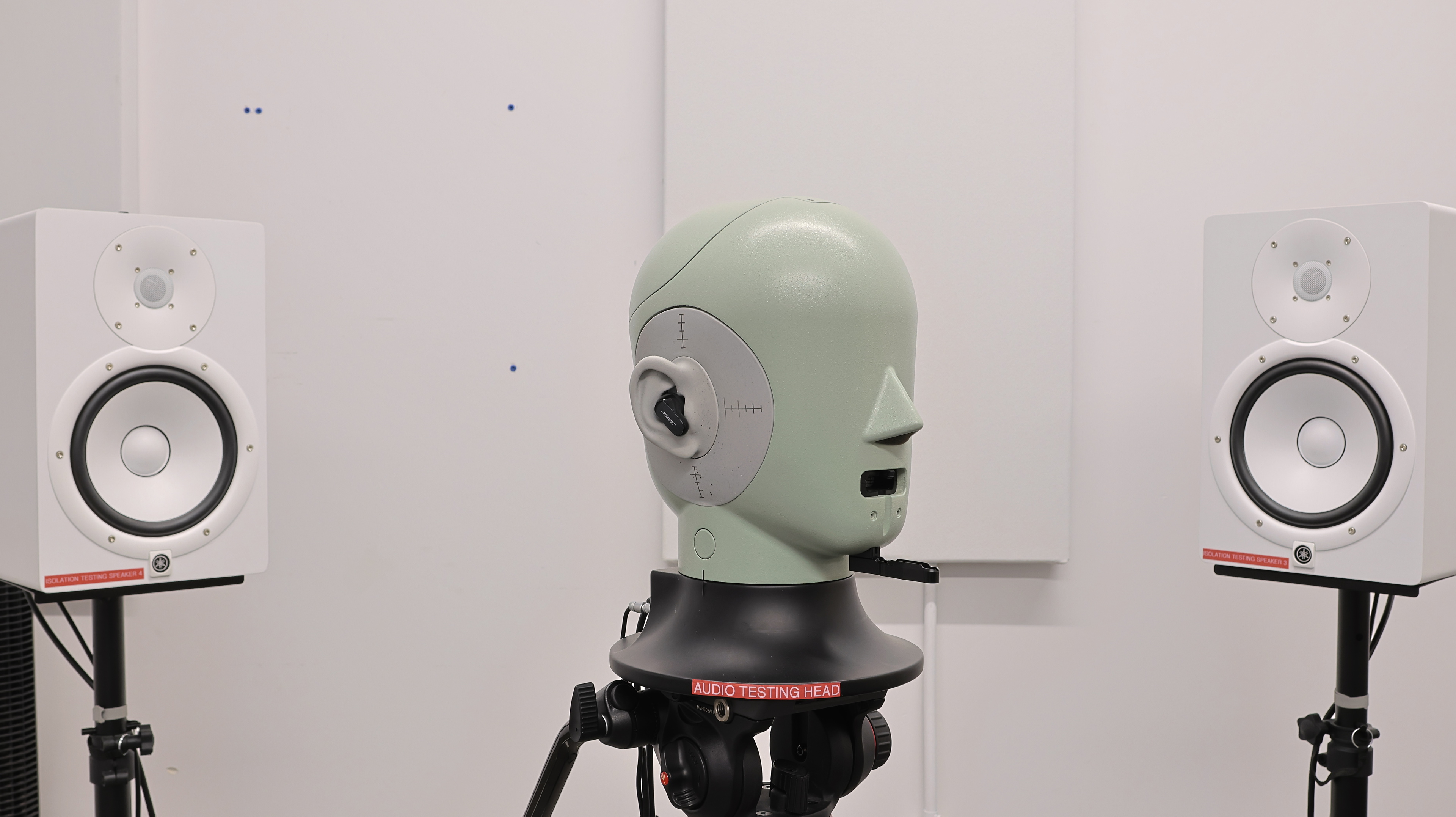 perceptual testing image