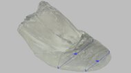Saucony Triumph 22 Forefoot Width Photo