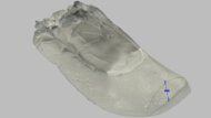 Brooks Trace 4 Forefoot Height Photo