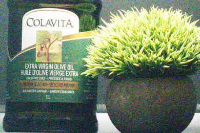 Sony ZV-E10 Noise Scene Crop