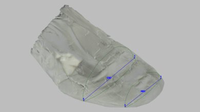 Nike Pegasus Plus Forefoot Width Photo