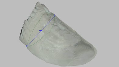 Kiprun Kipstorm Tempo Arch Fit Photo