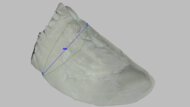 Kiprun Kipstorm Tempo Arch Fit Photo