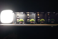 Nikon ZR Dynamic Range Scene