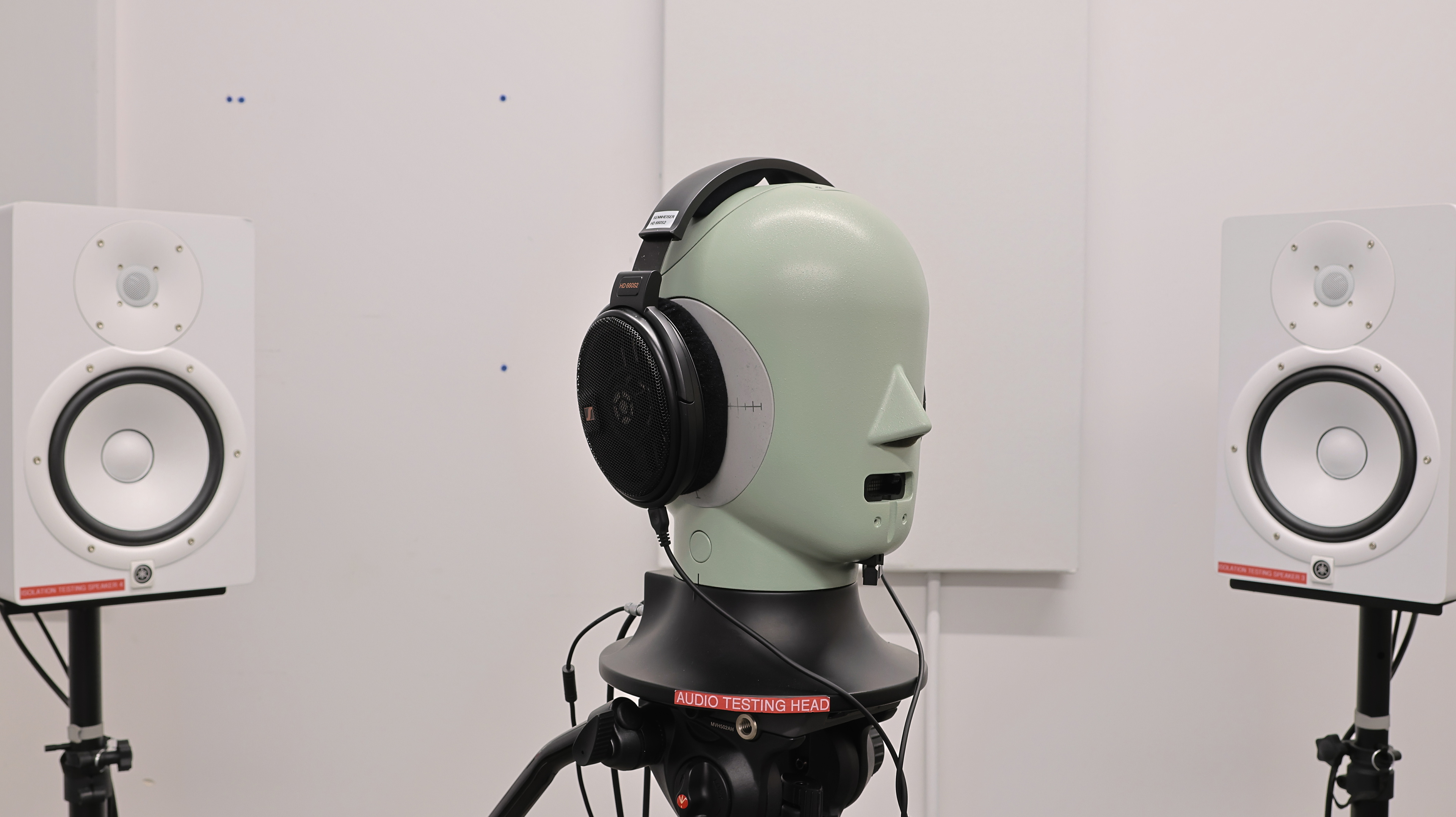 perceptual testing image