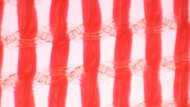ASICS METASPEED EDGE TOKYO Upper Microscope Photo
