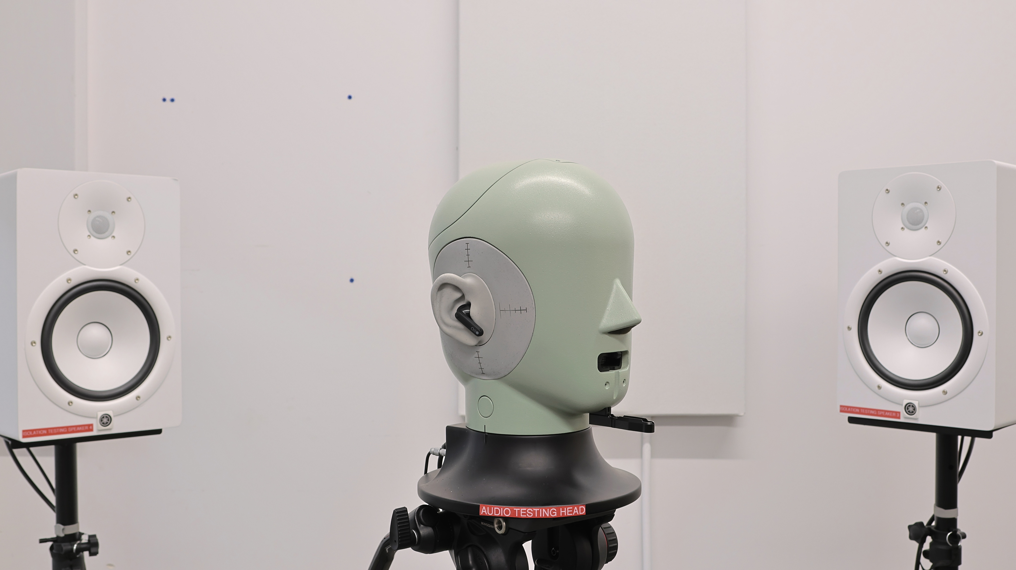 perceptual testing image