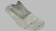 PUMA ForeverRun NITRO 3 Forefoot Width Photo
