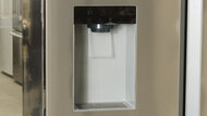 Bosch 100 Series B36FD10ENS Water Dispenser Photo