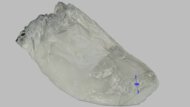 R.A.D SYNTH Forefoot Height Photo