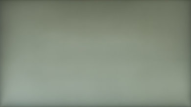 Dell S2716DG 50% Uniformity Picture