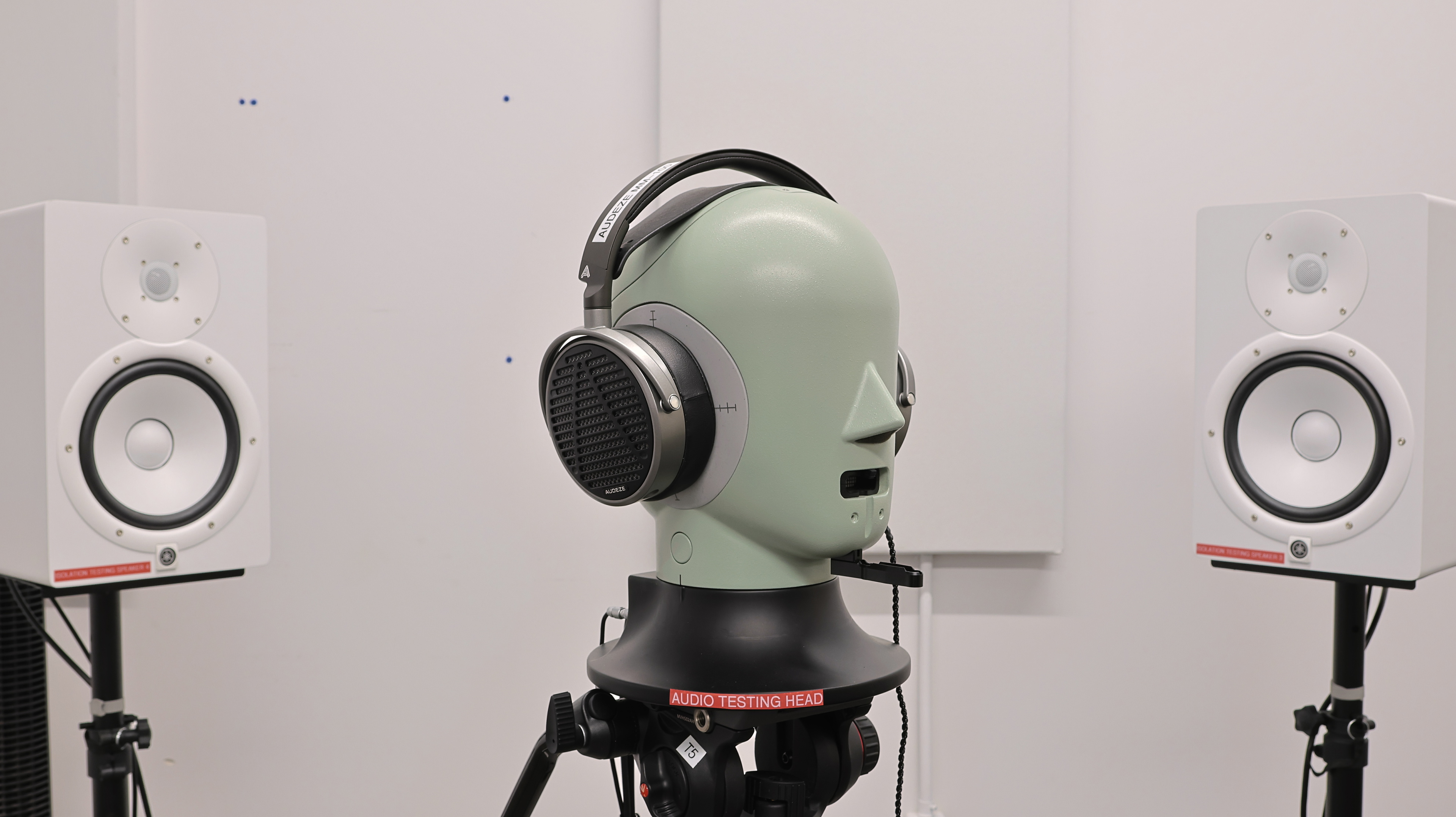 perceptual testing image