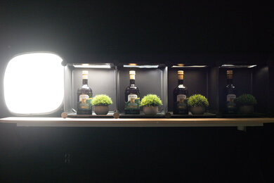 Nikon Z 6III Dynamic Range Scene