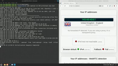 Proton VPN Headless OpenVPN Connection Screenshot