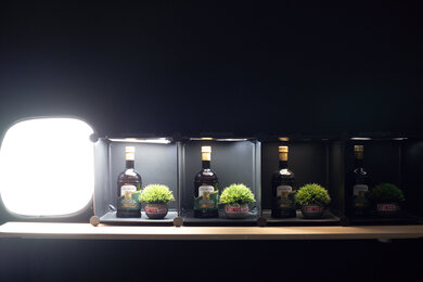 Sony α7 V Dynamic Range Scene