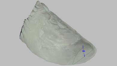 Kiprun Kipstorm Tempo Forefoot Height Photo