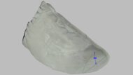 Kiprun Kipstorm Tempo Forefoot Height Photo