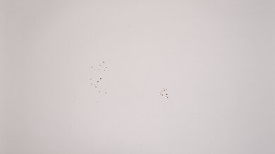 Toastmaster Two Slice TM-42TS Crumb Management Photo