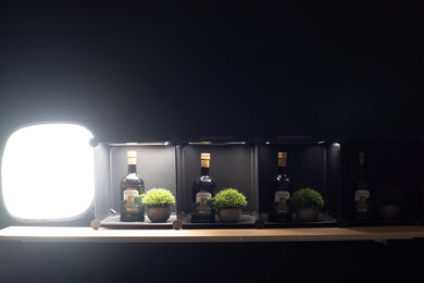 Panasonic LUMIX S5 Dynamic Range Scene