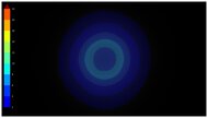 Ring Picture Total Reflection
