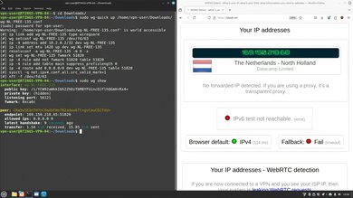 Proton VPN Free Headless WireGuard Connection Screenshot