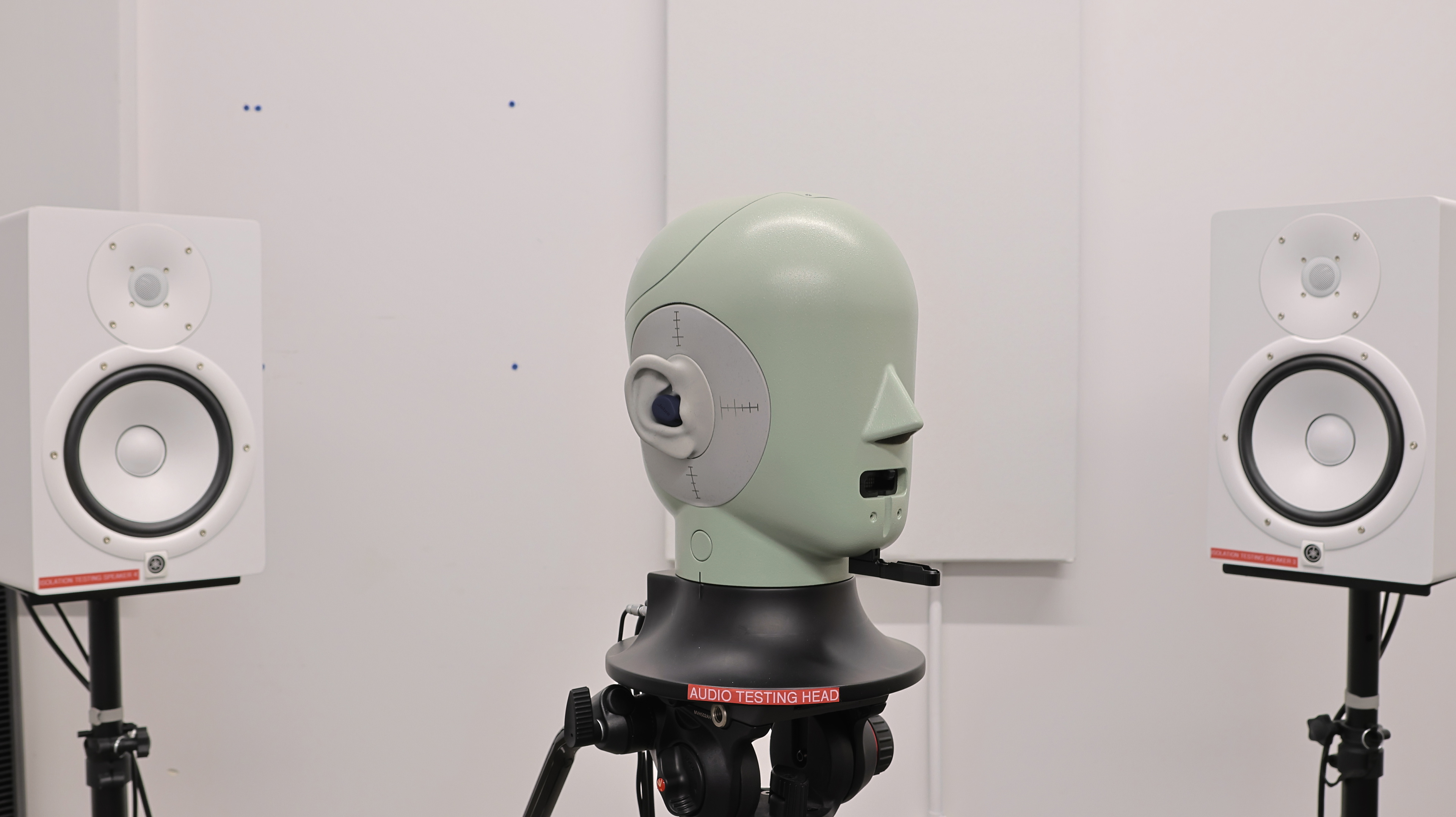 perceptual testing image