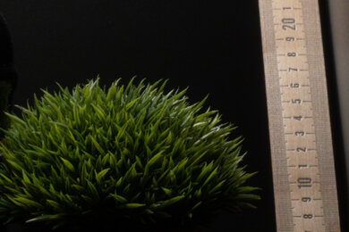 Sony ZV-1 Sharpness Scene Crop