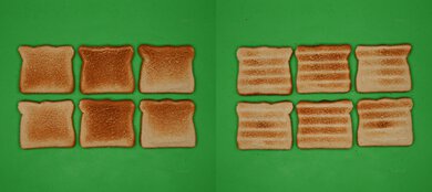Breville the Smart Oven BOV800XL Unprocessed Toast Picture