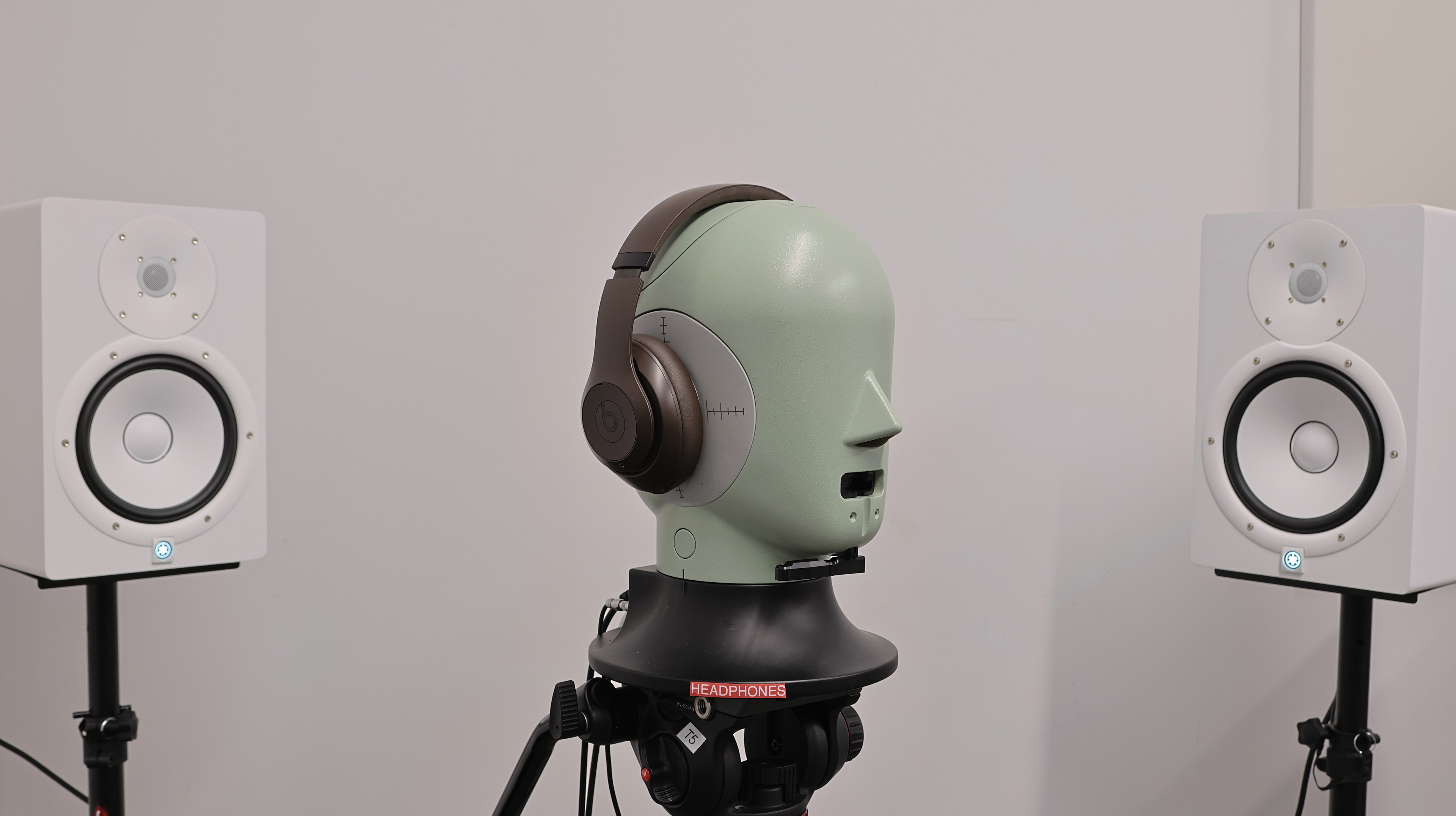 perceptual testing image