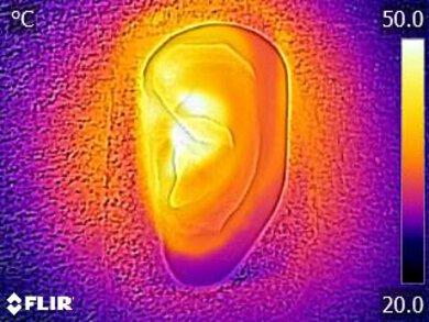 Razer Kraken V3 X Breathability After Picture