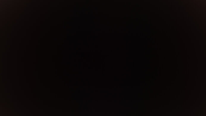 Dell Alienware AW3425DWM Black Level Raise Picture