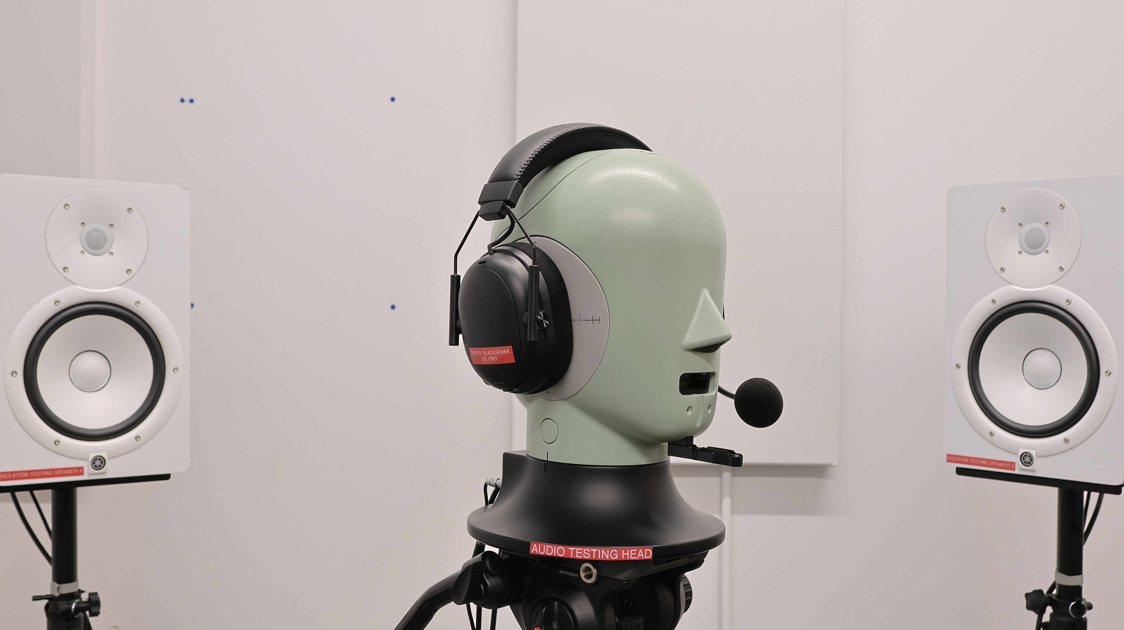 perceptual testing image