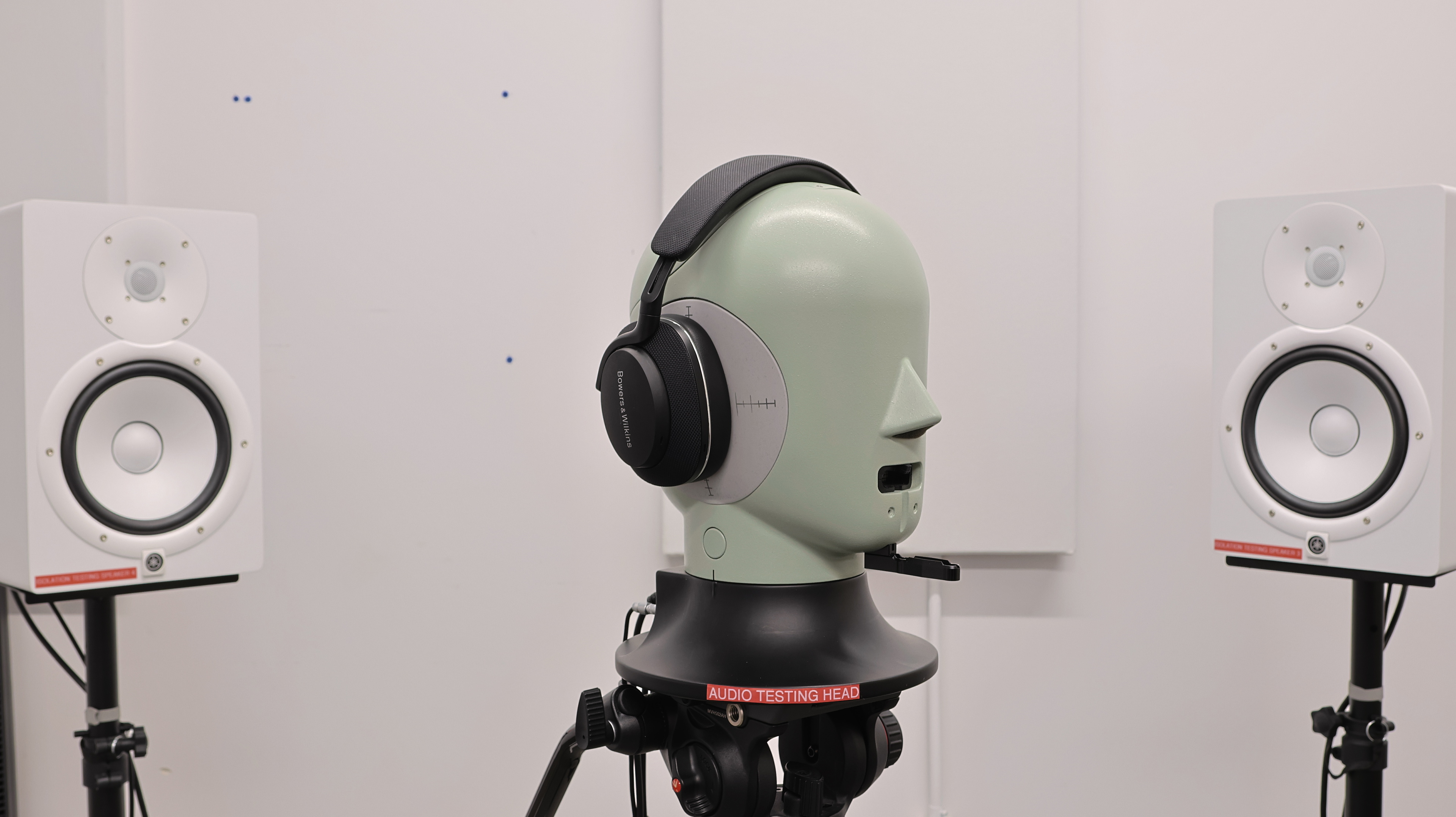 perceptual testing image