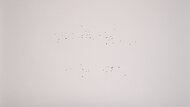 Breville the 'A Bit More' 4 Slice Crumb Management Photo