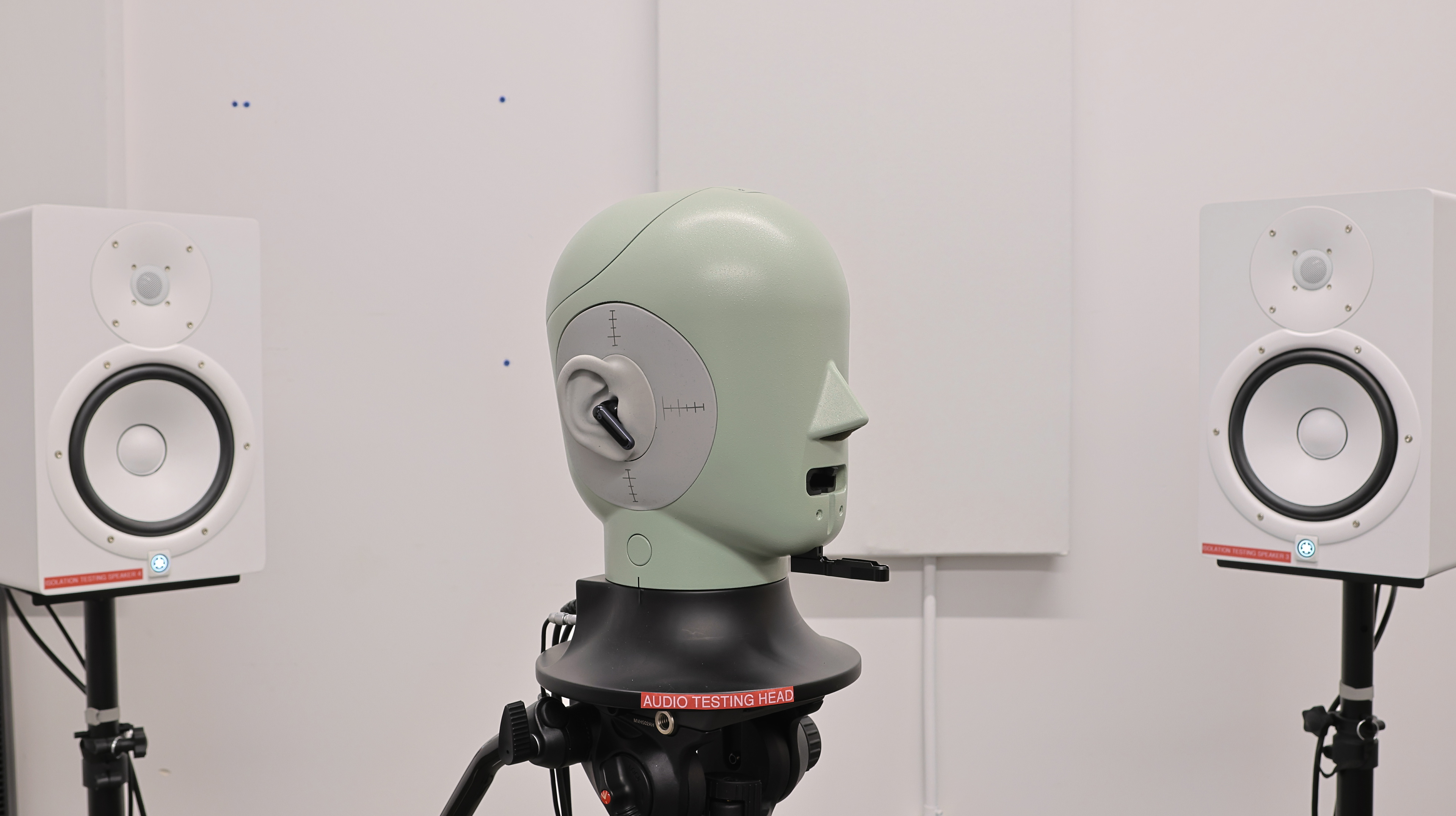 perceptual testing image