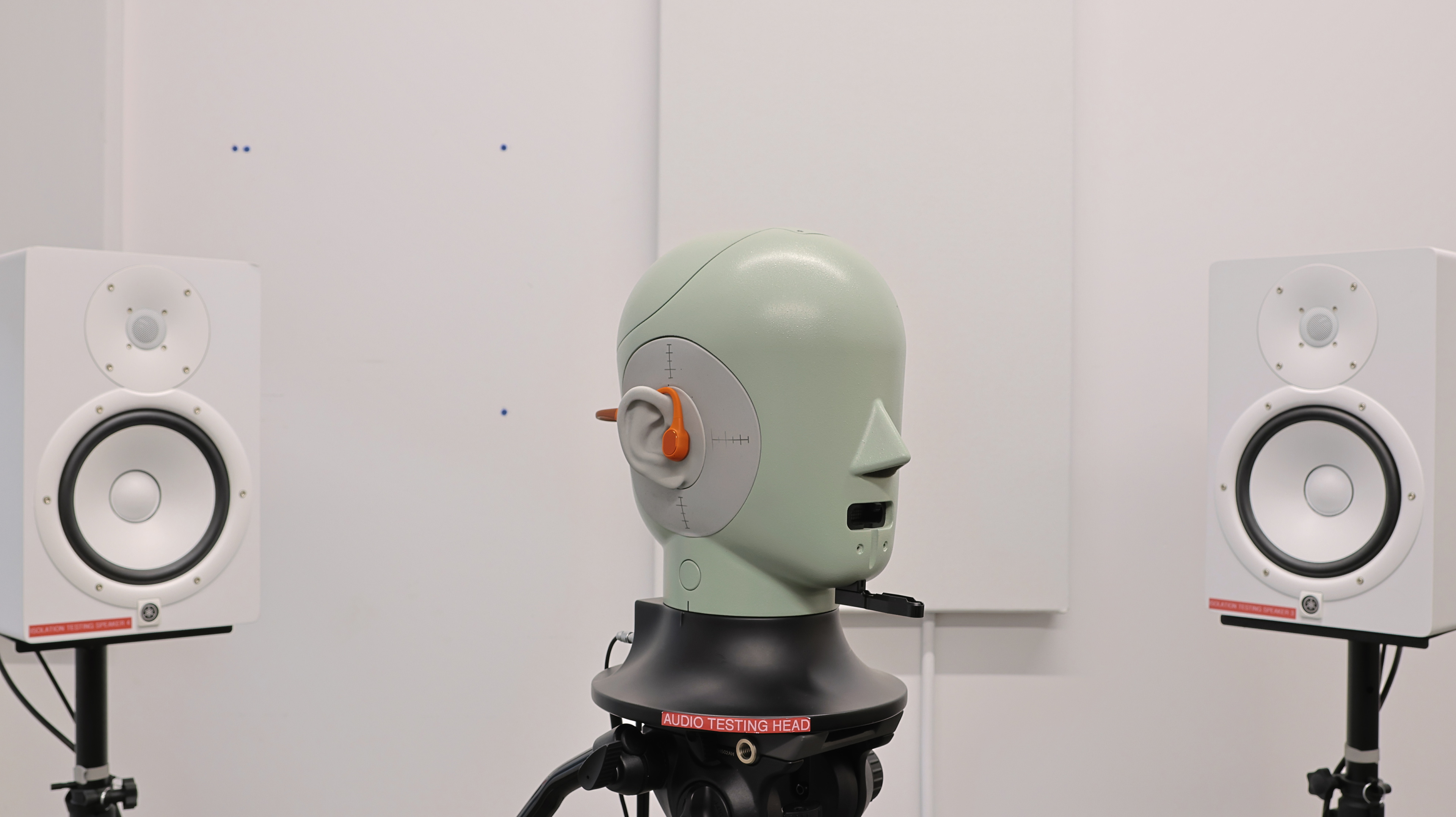 perceptual testing image