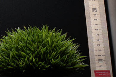 Panasonic LUMIX S9 Sharpness Scene Crop